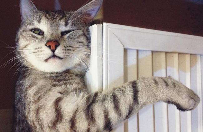 Опалювальний сезон