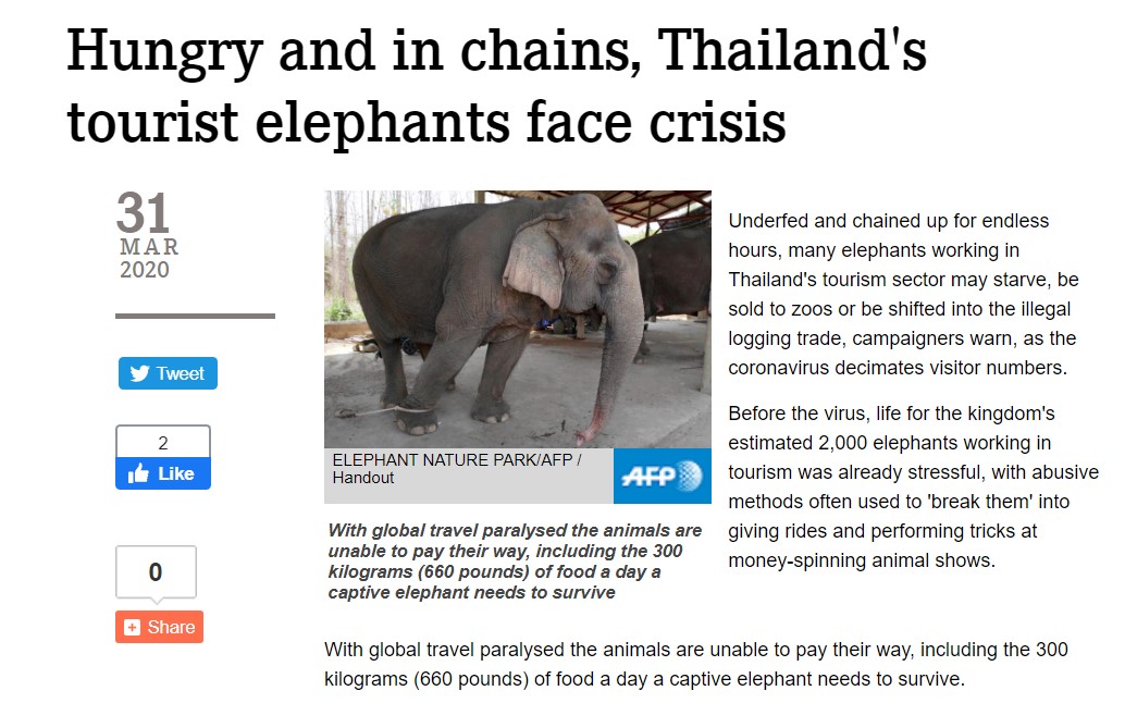 слони таїланду