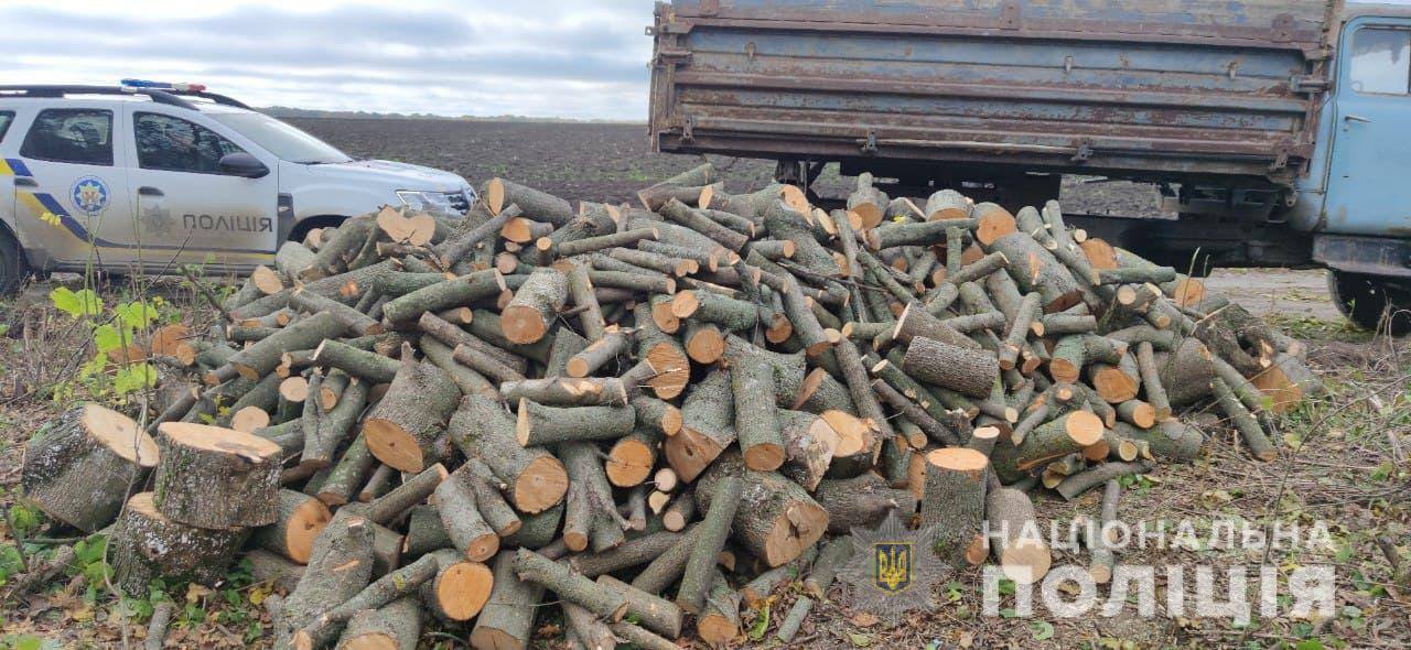 Незаконна вирубка дерев: у Лисянському районі впіймали чоловіка