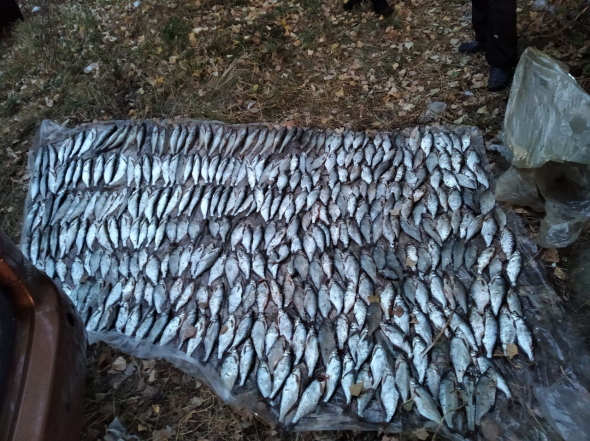За рік браконьєри на Черкащині завдали збитків рибному господарству на понад 5 млн грн