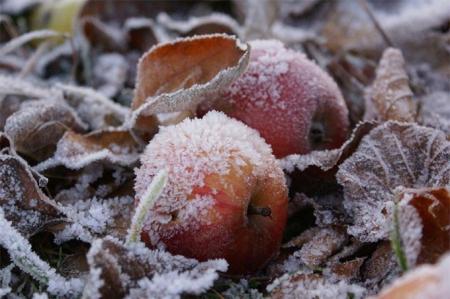 осінь, заморозки, погода