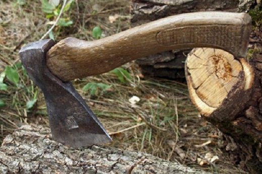 Третина кримінальних проваджень проти довкілля на Черкащині стосується незаконної вирубки лісу