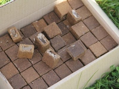 приманки з вакциною