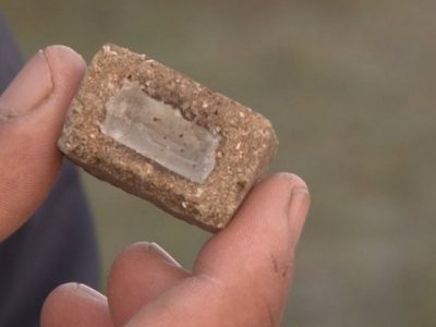 принада від сказу