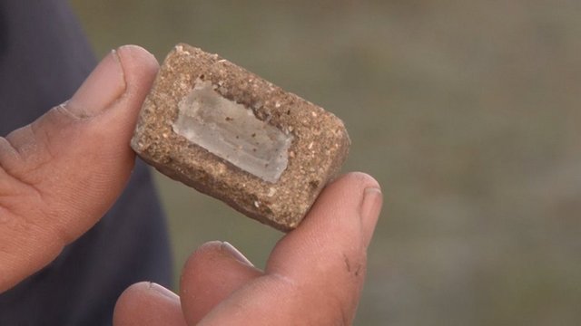 принада від сказу