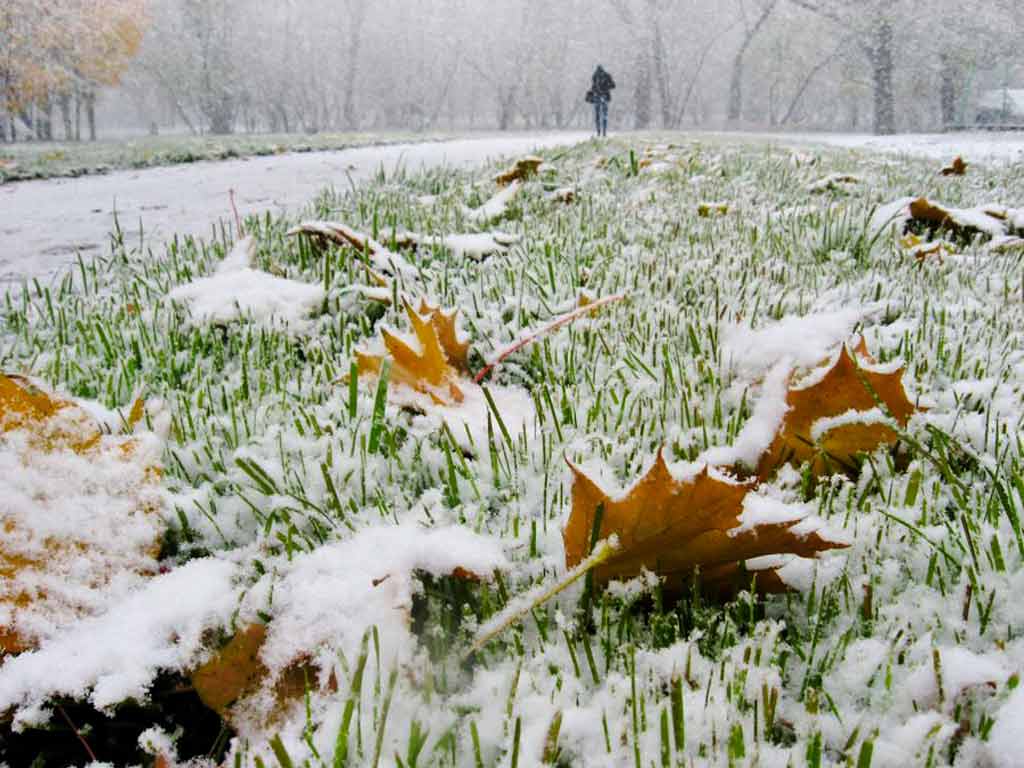 Наступного тижня на Черкащині вдарять морози, можливий перший сніг