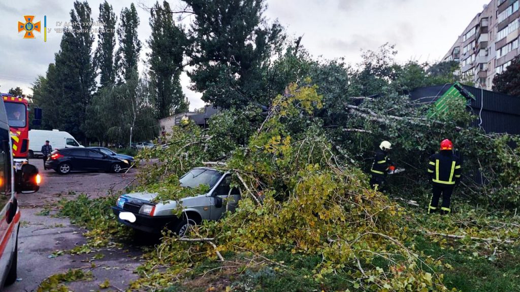 Дерева впали на автомобіль