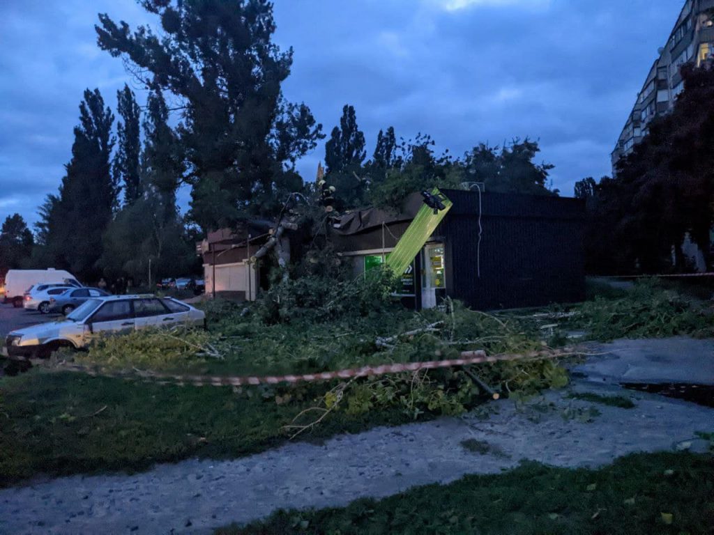 Дерево впало на чоловіка