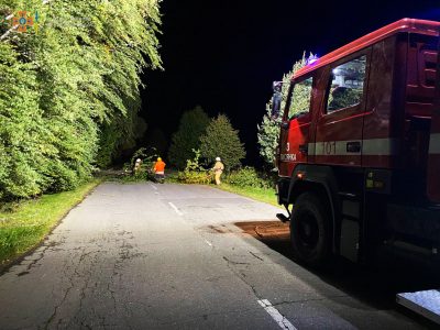 Рятувальники прибирають дерево