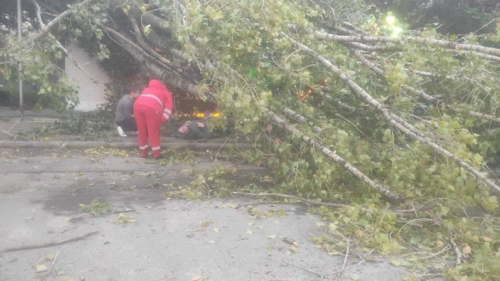 На чоловіка в Черкасах впало дерево