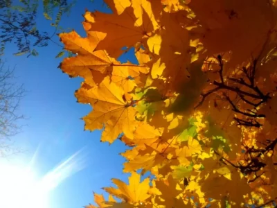 Осіння погода