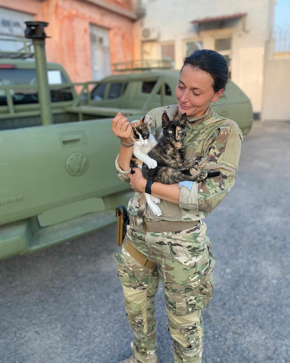 Військова з котиками