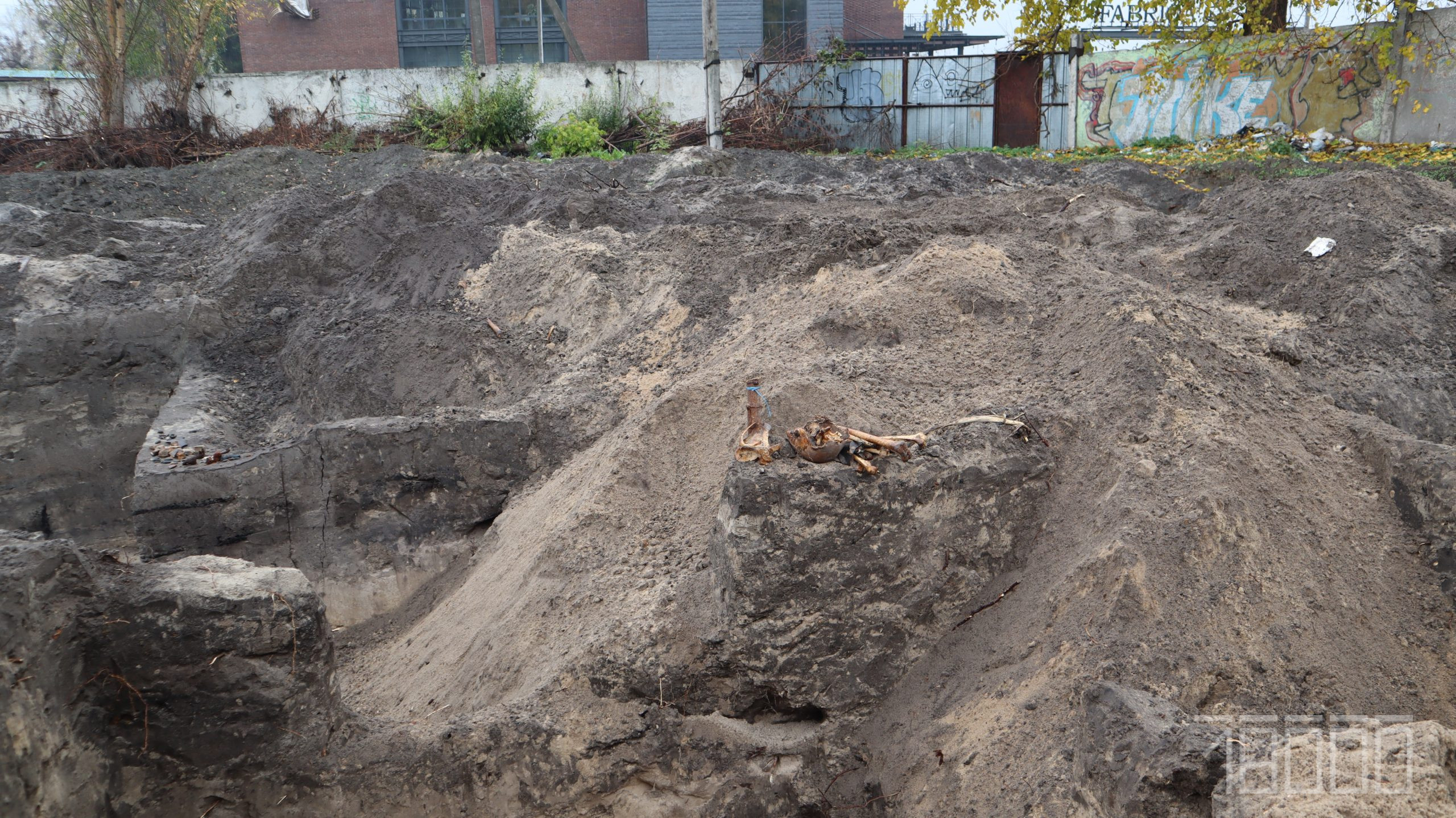 археологи в Черкасах виявили понад сотню поховань