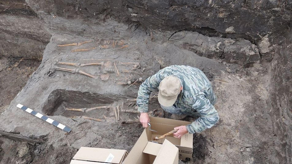 Археолог розглядає знайдені кістки