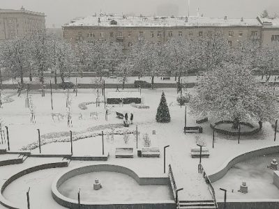 Ялинка в сквері Юність