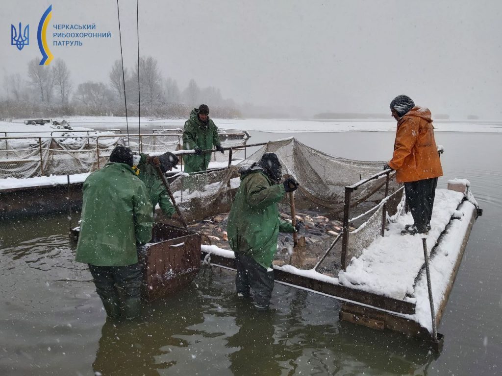 У Дніпро випускають мальок