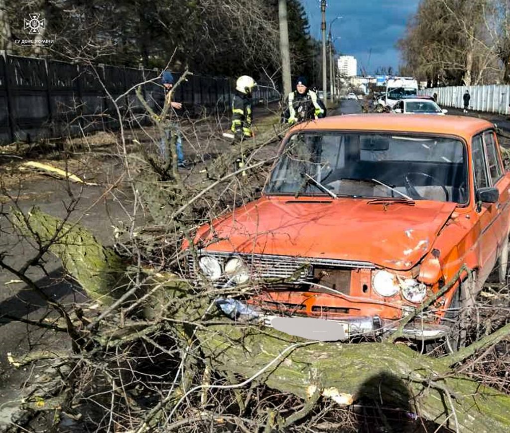 Дерево впало по вулиці Залізняка 