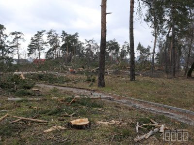 Вирубка лісу в Черкасах