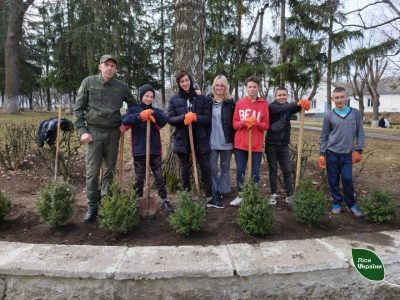 Лісники разом з учнями садили самшит