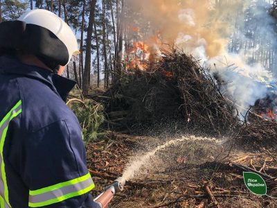 Пожежники навчались у лісі