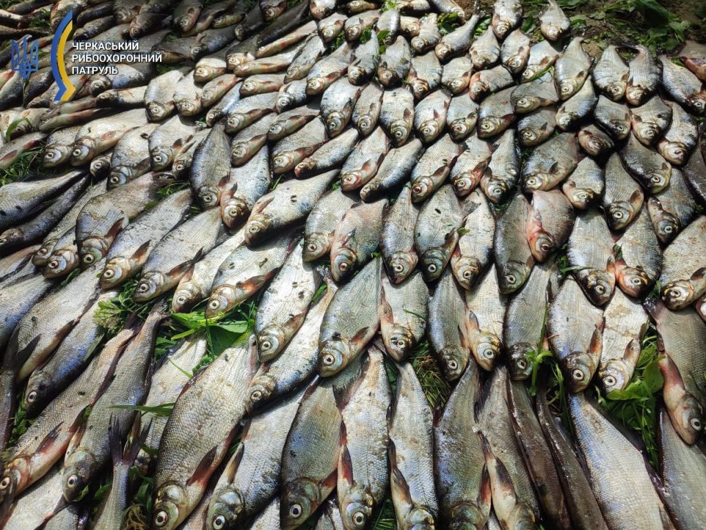 Риба виловлена на понад 2 млн гривень