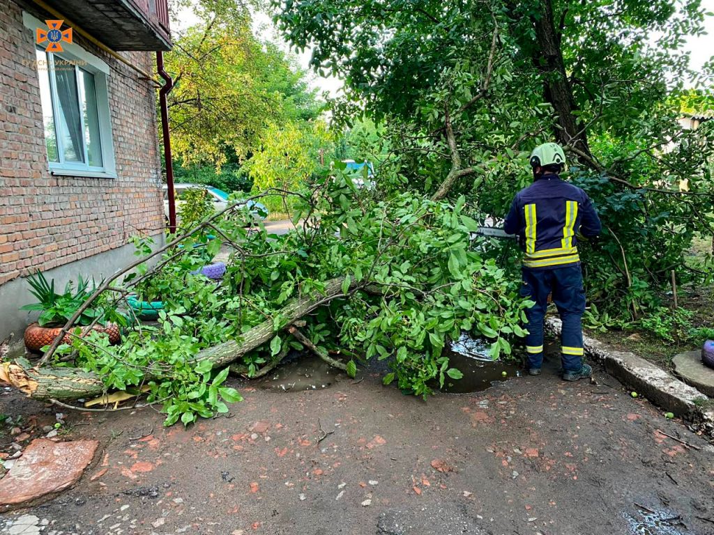 Повалене дерево біля будинку