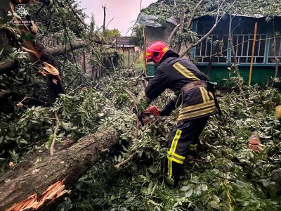 Дерево впало на будинок