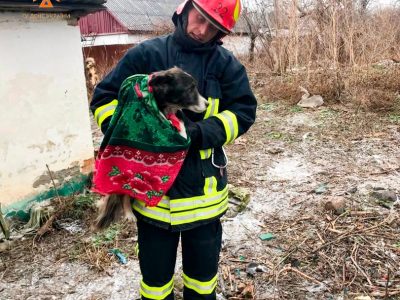 Рятувальник із псом