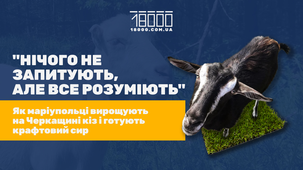 Обкладинки, кози