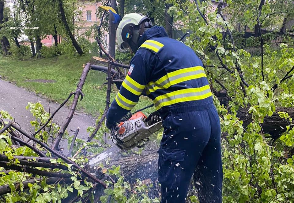 ліквідація наслідків падіння дерева на Черкащині