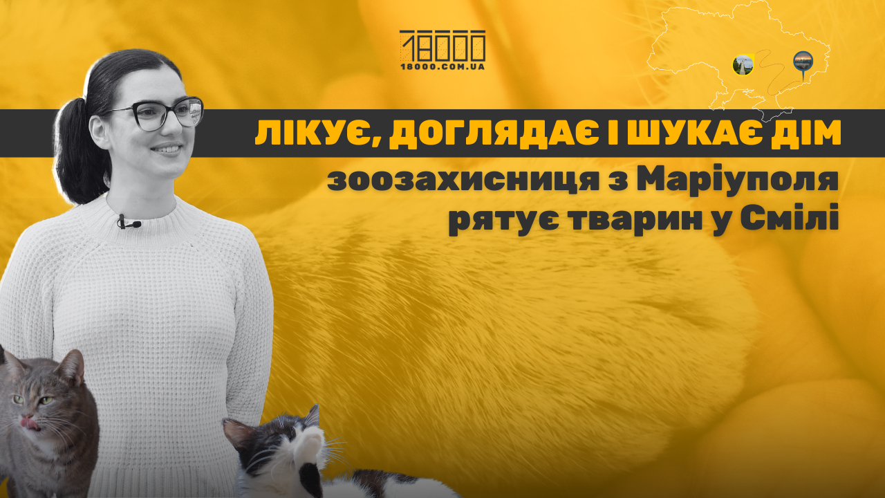 Зоозахисниця з Маріуполя лікує котів у Смілі