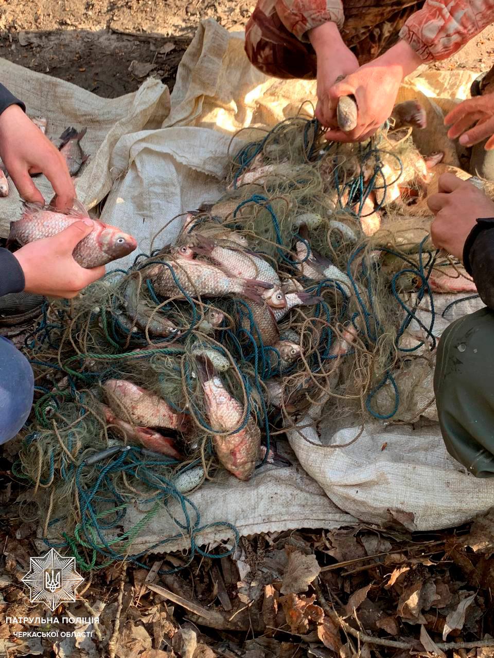 Незаконний вилов риби на Черкащині