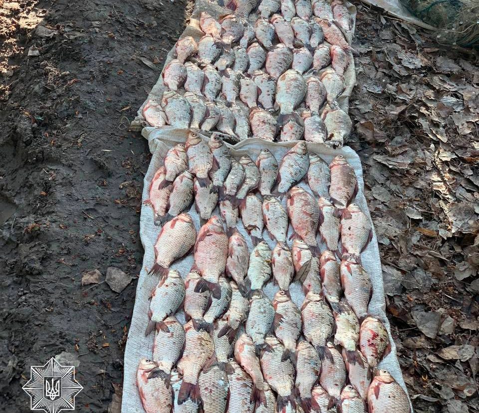 незаконний вилов риби на Черкащині