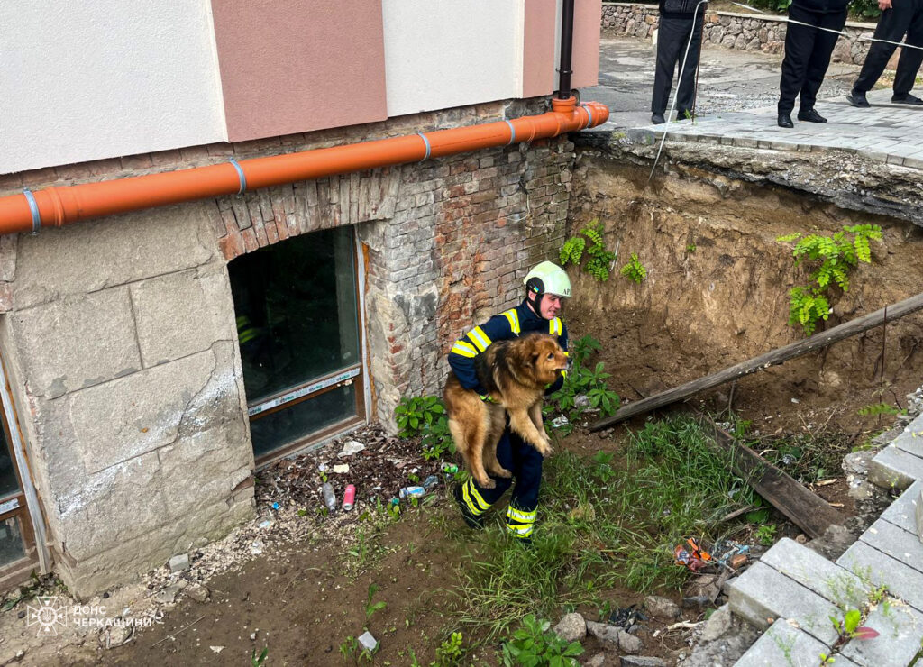 Рятувальники дістають пса з ями