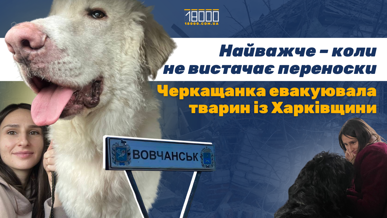 волонтерка з Черкас евакуювала тварин із Харківщини