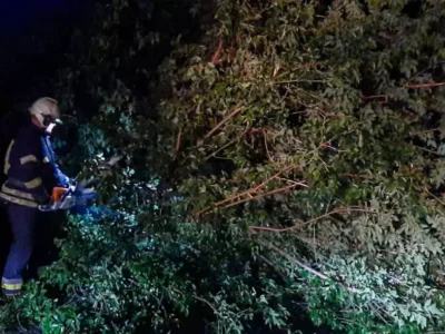 Рятувальник прибирає повалене вітром дерево на Черкащині