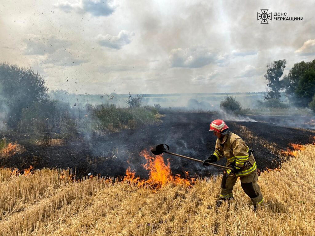 пожежа поля на Черкащині