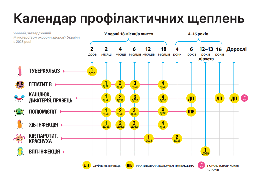 Інфографіка календаря щеплень з 2026 року