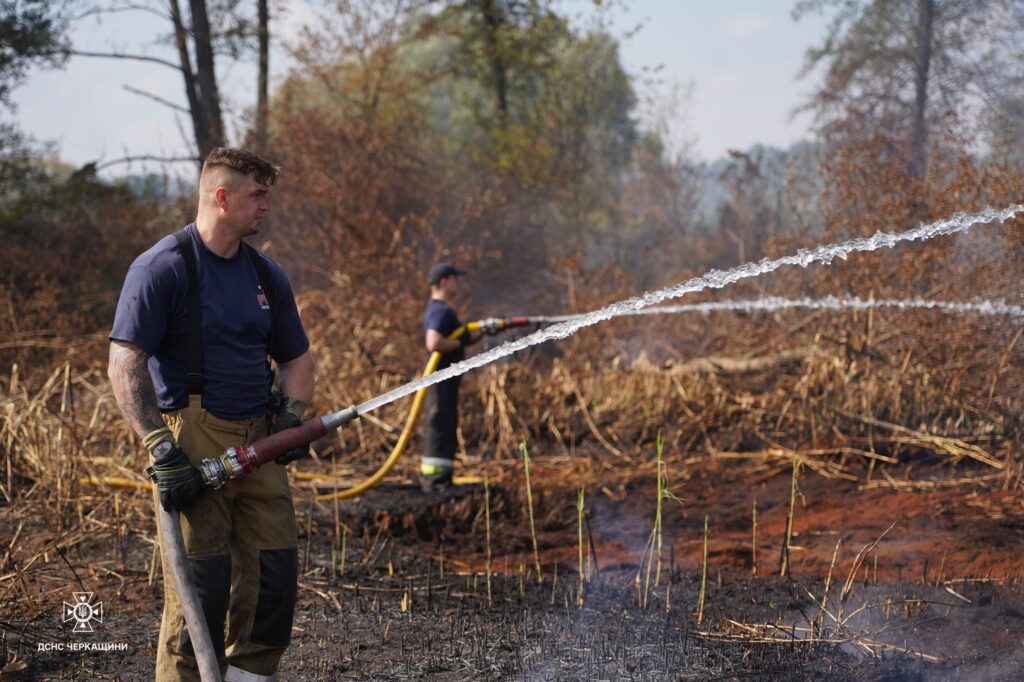 пожежник гасить вогонь у лісі