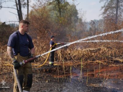 пожежник гасить вогонь у лісі