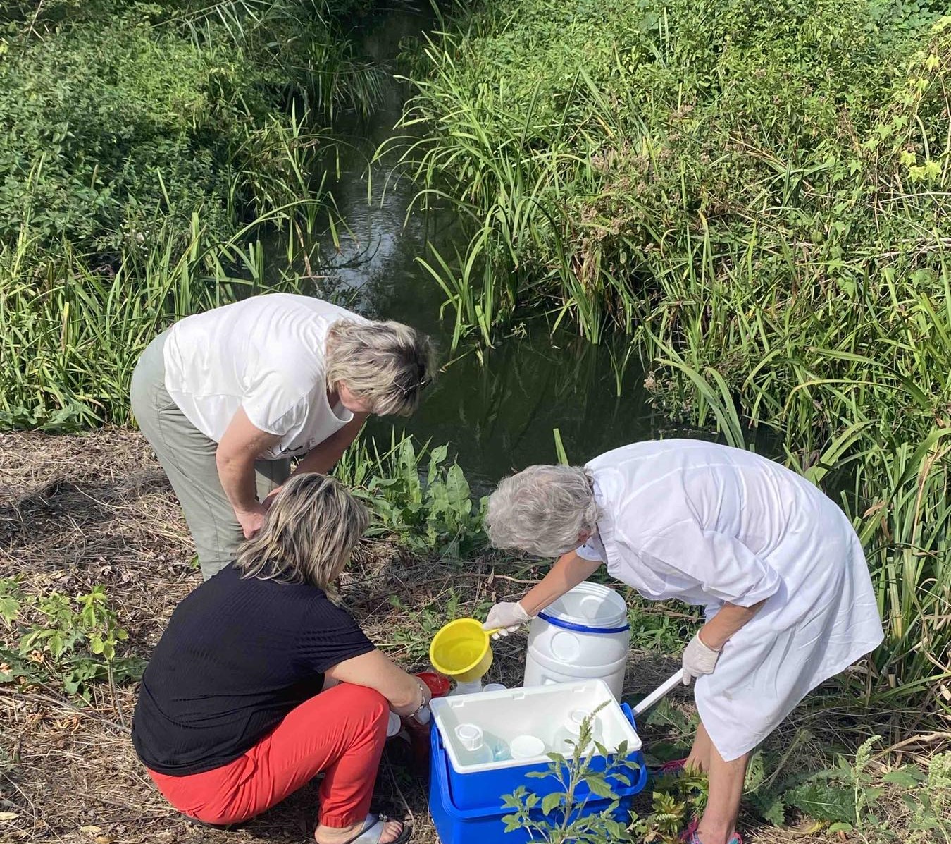 перевірка стану води 