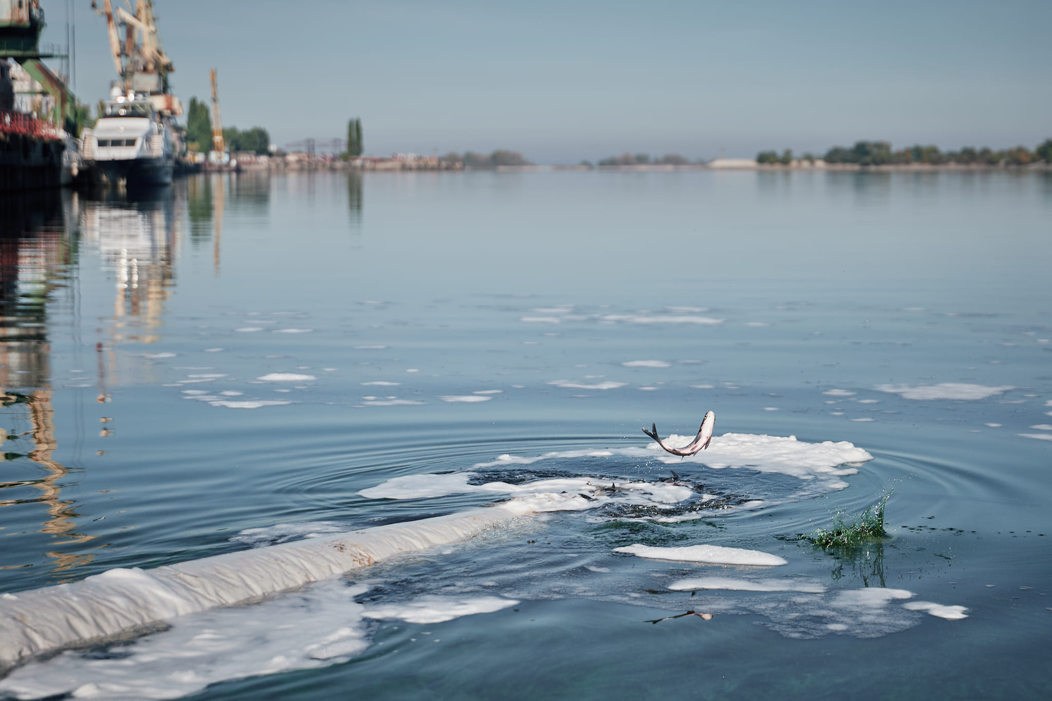 рибальство на Дніпрі у Черкасах