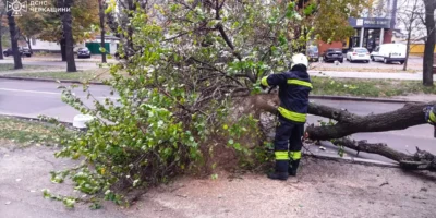 упавше дерево