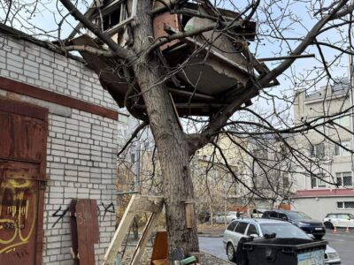 "Курник" побудували на дереві в Черкасах