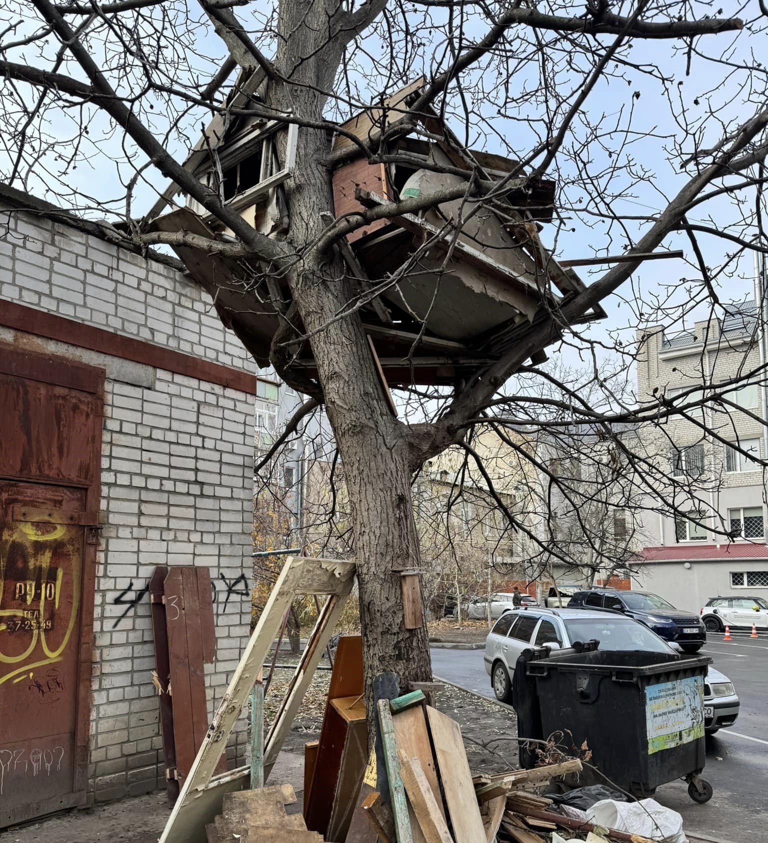 "Курник" побудували на дереві в Черкасах