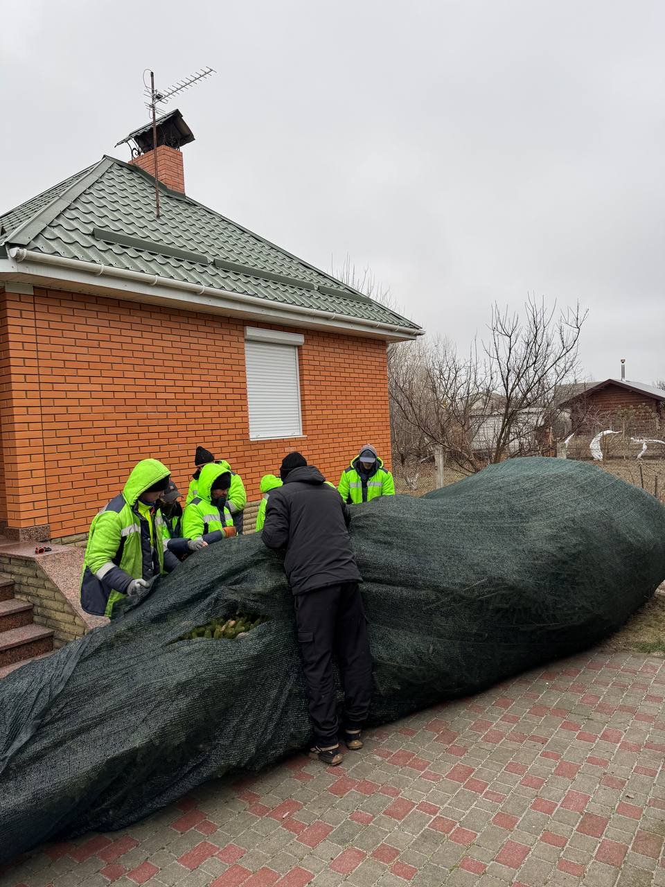 Ялинка у Золотоноші