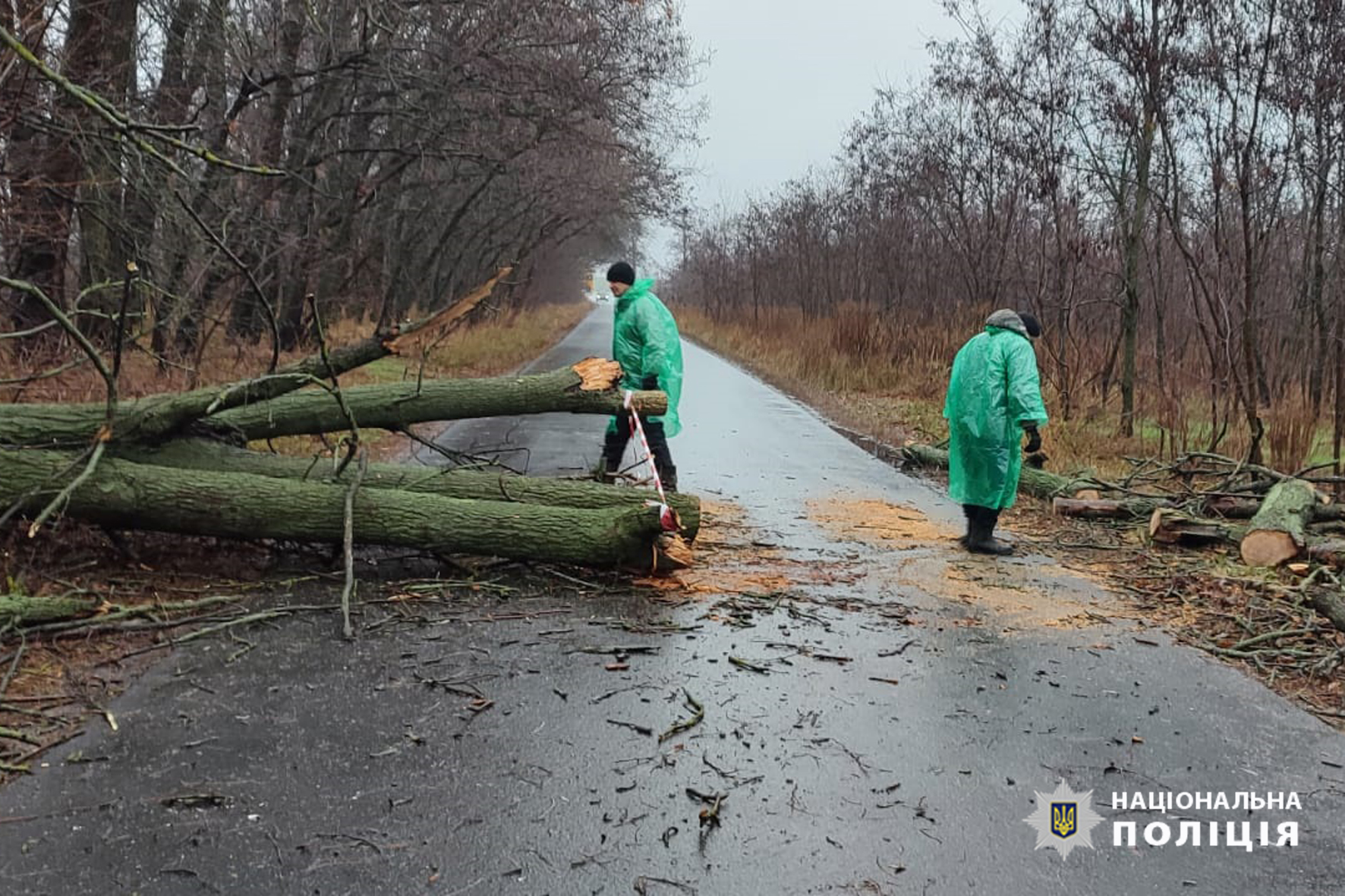 Поліцейські офіцери прибирають повалене дерево