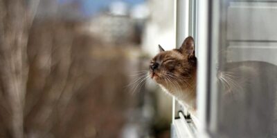 прогноз погоди на Черкащині