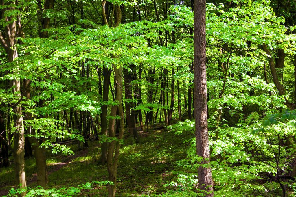 заповідник, заказник