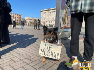 Пес із плакатом "Не мовчи"